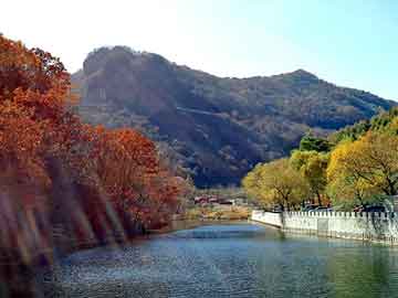 澳门二四六天天免费好材料，家居论坛